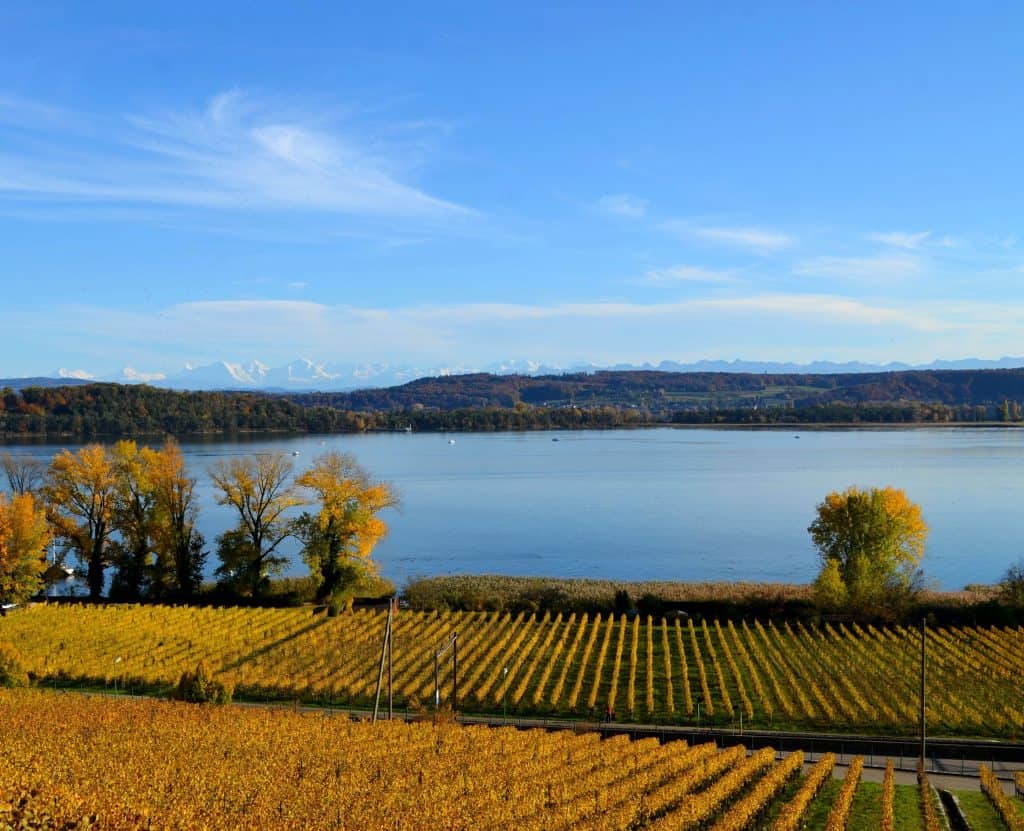 Beat Burkhardt – Weingut Bielerhaus