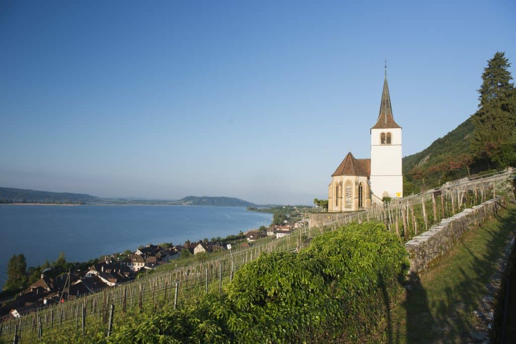 Krebs Simon – Weingut Brunnmühle