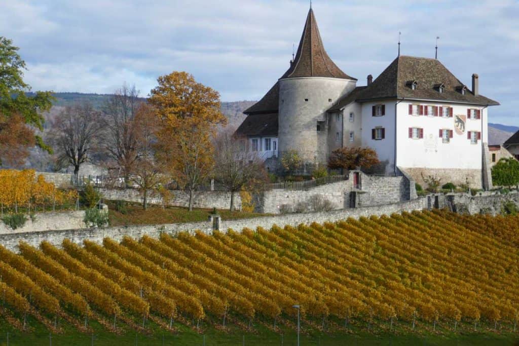 Rebgut Schloss Erlach